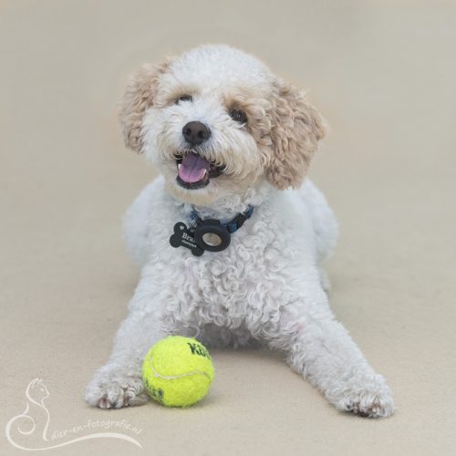 Bram, Eindhoven, 25-08-2025