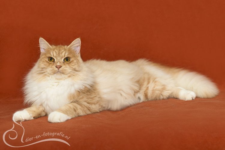 Felix, Eindhoven, 16-11-2025